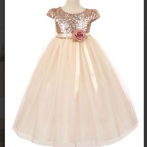 Rose Gold Sequins bodice & Tulle Dress